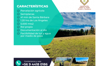 Venta Parcelas Cerro el Padre (5.000mt2), Quilaco.