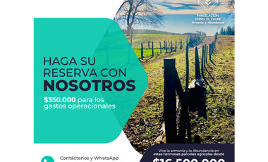 Venta Parcelas Cerro el Padre (5.000mt2), Quilaco.