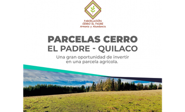 Venta Parcelas Cerro el Padre (5.000mt2), Quilaco.