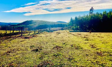 Venta Parcelas Cerro el Padre (5.000mt2), Quilaco.