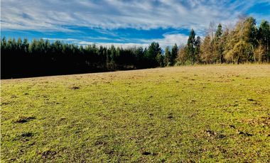 Venta Parcelas Cerro el Padre (5.000mt2), Quilaco.