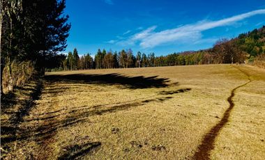 Venta Parcelas Cerro el Padre (5.000mt2), Quilaco.