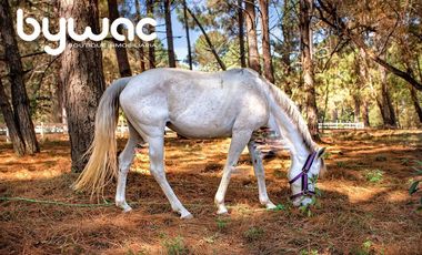 Terreno en Venta Izar Valle de Bravo