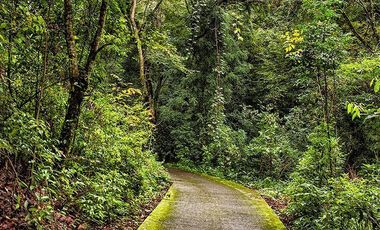 Terreno en Venta Izar Valle de Bravo