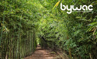 Terreno en Venta Valle de Bravo