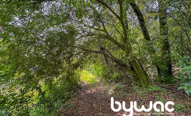 Terreno en Venta Valle de Bravo