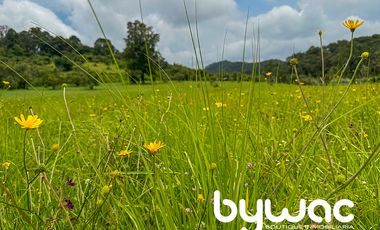 Terreno en Venta Valle de Bravo