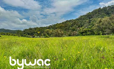 Terreno en Venta Valle de Bravo