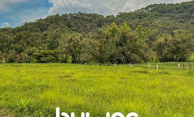 Terreno en Venta Valle de Bravo