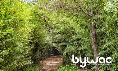 Terreno en Venta Valle de Bravo