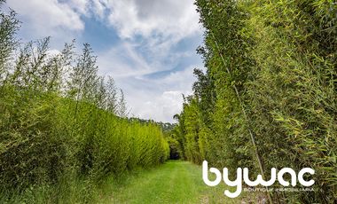 Terreno en Venta Valle de Bravo