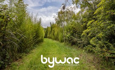 Terreno en Venta Valle de Bravo