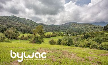 VENTA