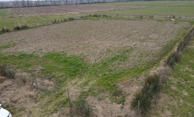 Terreno La Reserva Sector El Vaticano , Requinoa