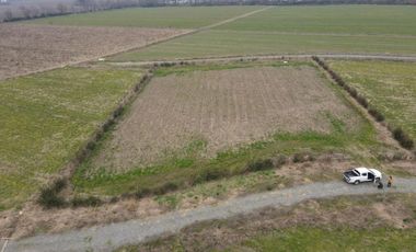 Terreno La Reserva Sector El Vaticano , Requinoa