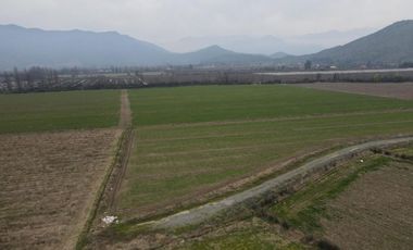 Terreno La Reserva Sector El Vaticano , Requinoa