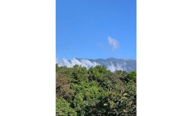 VENDO CASA A 1000M.S.N.M. Y 4000MTS BOQUETE