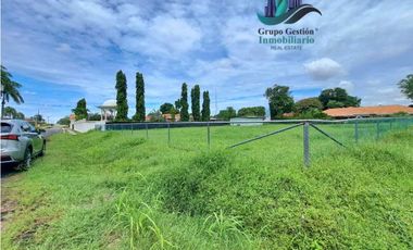 VENDO LOTE DE 1831mts DAVID