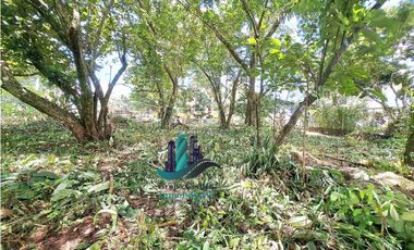 VENDO LOTE DE 1326mts CERCA TERRONAL