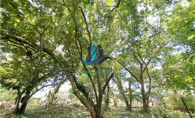 VENDO LOTE DE 1326mts CERCA TERRONAL