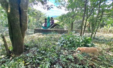 VENDO LOTE DE 1326mts CERCA TERRONAL