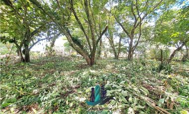 VENDO LOTE DE 1326mts CERCA TERRONAL