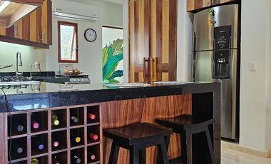 PenthHouse   with 2 separate floors Ocean View Playa La Ropa