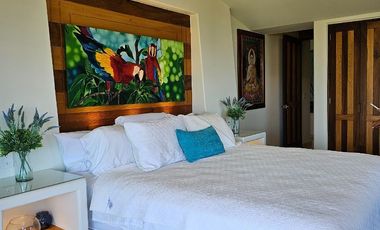 PenthHouse   with 2 separate floors Ocean View Playa La Ropa