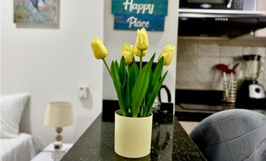 ApartaSuite con Balcón en Crespo 2