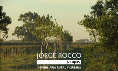 Campo en venta en Ranchos. 67 Has. mixto sobre ruta