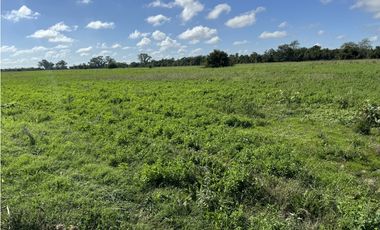 Campo en venta en Ranchos. 67 Has. mixto sobre ruta