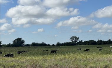 Campo en venta en Ranchos. 67 Has. mixto sobre ruta