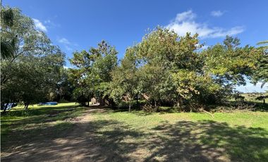 Campo en venta en Ranchos. 67 Has. mixto sobre ruta