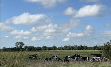 Campo en venta en Ranchos. 67 Has. mixto sobre ruta