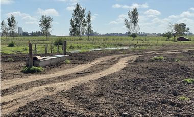 Campo en venta en Ranchos. 67 Has. mixto sobre ruta
