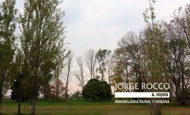 Campo en venta en Ranchos. 67 Has. mixto sobre ruta