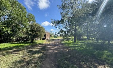 Campo en venta en Ranchos. 67 Has. mixto sobre ruta