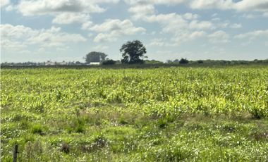 Campo en venta en Ranchos. 67 Has. mixto sobre ruta