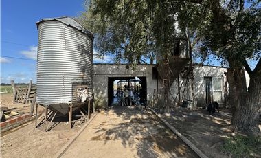 Campo en venta en Ranchos. 67 Has. mixto sobre ruta