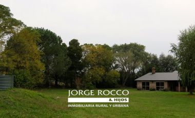 Campo en venta en Ranchos. 67 Has. mixto sobre ruta