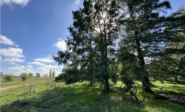 Campo en venta en Ranchos. 67 Has. mixto sobre ruta