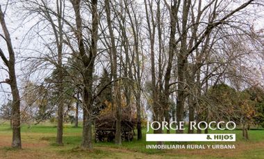 Campo en venta en Ranchos. 67 Has. mixto sobre ruta