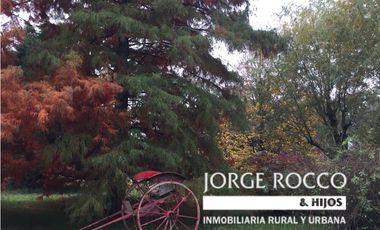 Campo en venta en Ranchos. 67 Has. mixto sobre ruta