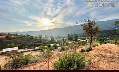 Parcela en Venta en Sector los coligues