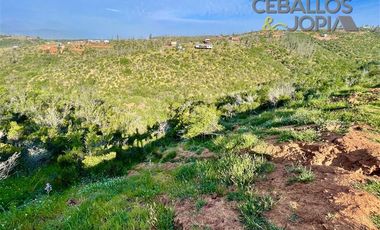 Parcela en Venta en Proyecto Verde Mar, Belloto (Limache)