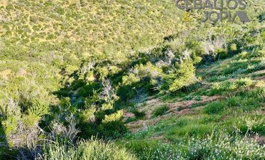 Parcela en Venta en Proyecto Verde Mar, Belloto (Limache)