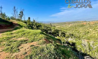 Parcela en Venta en Proyecto Verde Mar, Belloto (Limache)