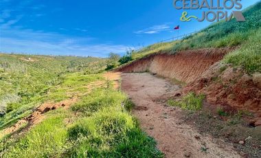 Parcela en Venta en Proyecto Verde Mar, Belloto (Limache)
