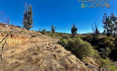 Parcela en Venta en Parcelación Verde Mar, (Belloto) Limache