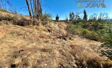 Parcela en Venta en Parcelación Verde Mar, (Belloto) Limache